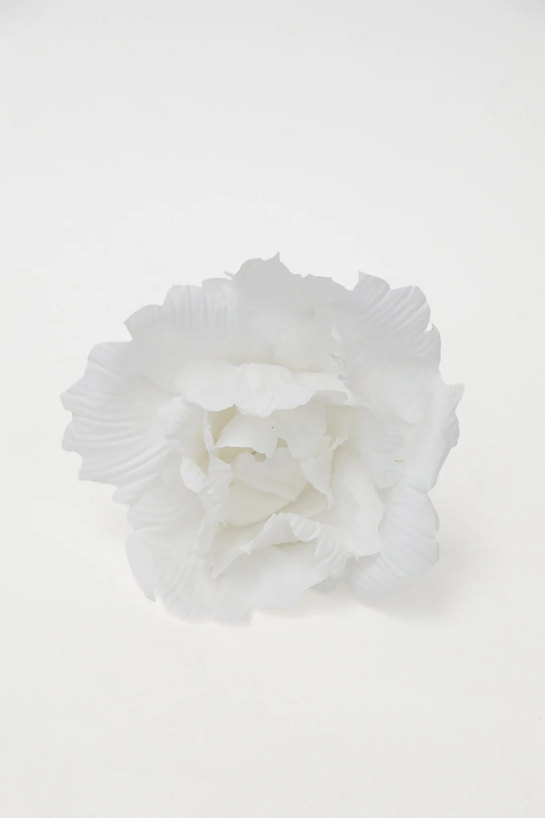 LOTUS FLOWER IN COTTON - Image 6