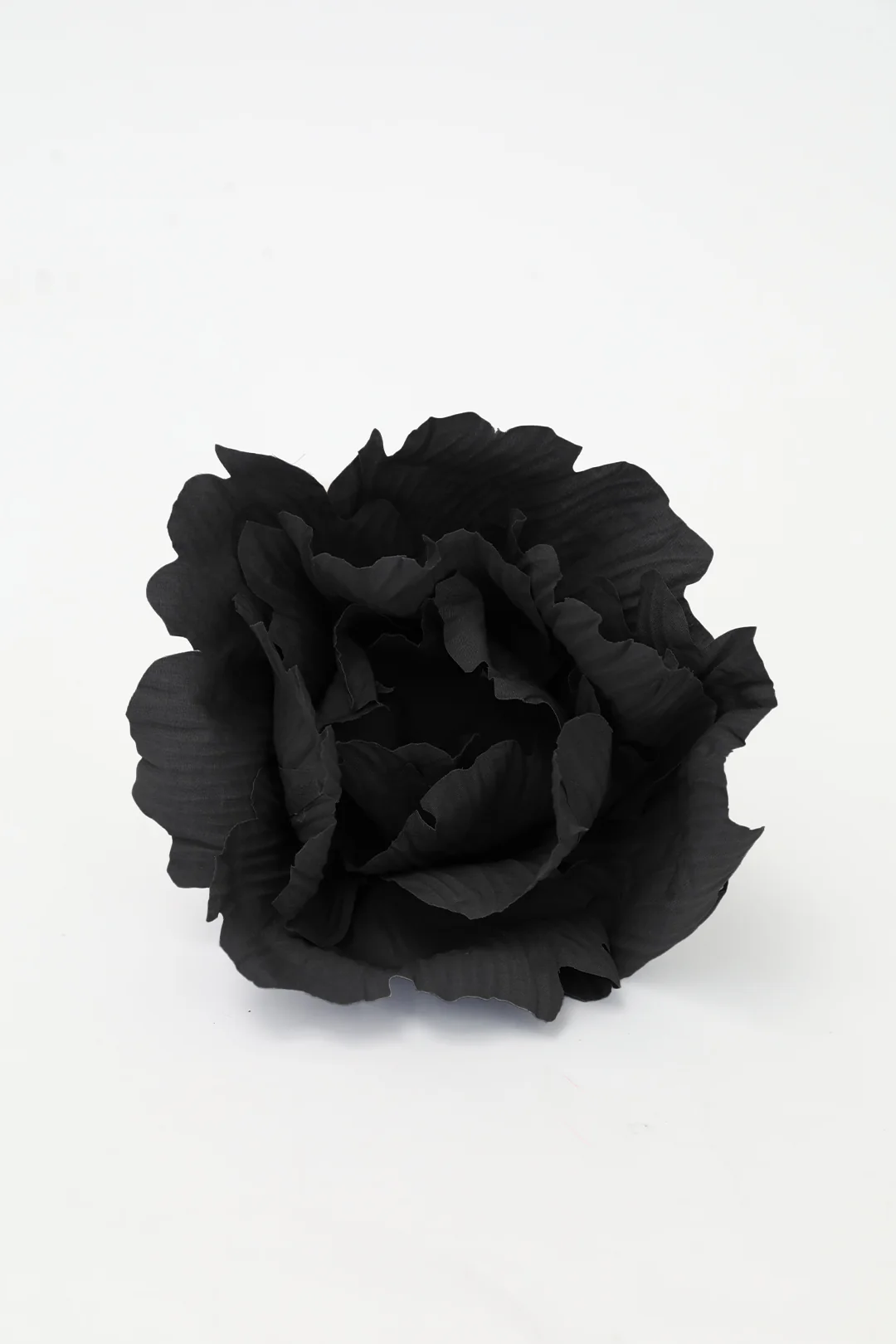 LOTUS FLOWER IN COTTON - Image 8